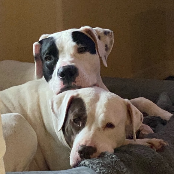 Make me an offer or bundle your likes - Picture 9 of 14